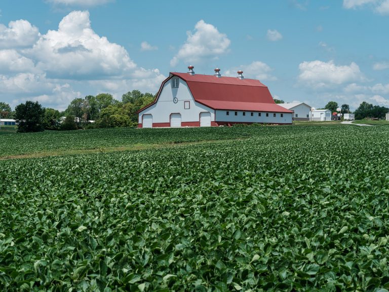 Un gel agricole écologique remplace les pesticides toxiques par des vers